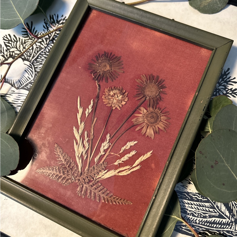 Vintage Pressed Flowers